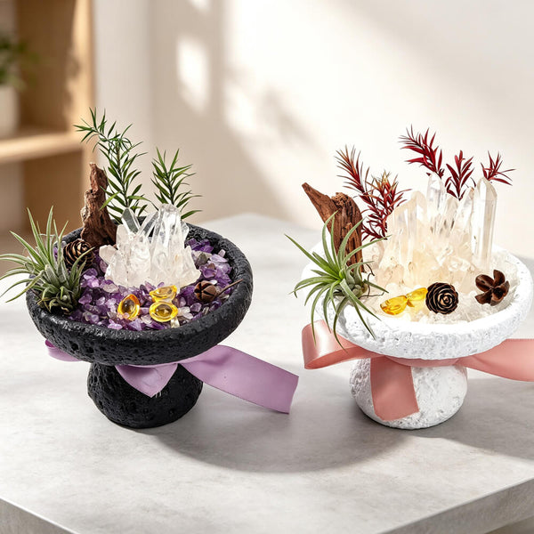 Crystal garden kit with two stone planters: dark bowl with purple crystals, white bowl with clear crystals