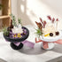 Crystal garden kit with two stone planters: dark bowl with purple crystals, white bowl with clear crystals