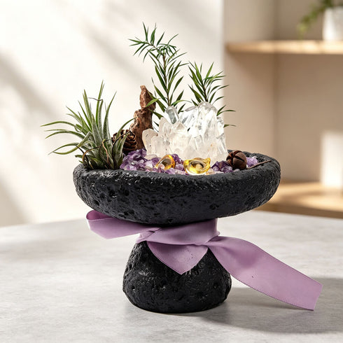 Dark stone planter with purple crystal pieces and clear quartz cluster, green air plants, purple ribbon