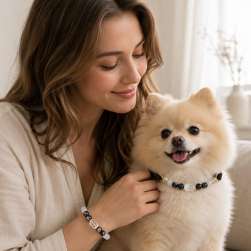 Beaded pet collar and matching bracelet set with black and clear gemstone beads