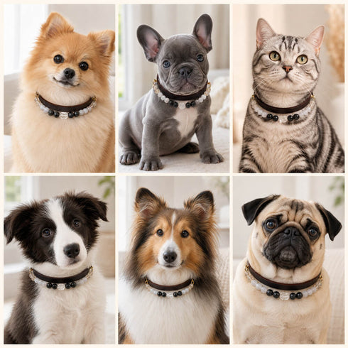 Beaded crystal collars and bracelets featuring black and light gemstone beads on pets