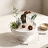 White bowl crystal garden centerpiece, 133mm x 75mm, clear quartz, pinecone-like decor, greenery