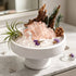 White bowl crystal garden centerpiece with pink rose quartz cluster, clear crystals, purple accents
