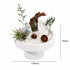 Crystal garden centerpiece in white bowl, 133mm x 75mm, clear quartz, greenery, rose ornaments