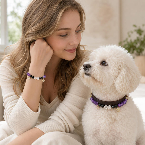 Pet collar bracelet set with purple bead strand, black beads, clear beads, gold charms