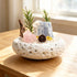 White decorative crystal bowl with rose quartz, blue crystal cluster, gold charms, and pine sprigs