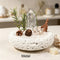 Metal intention crystal garden set with clear crystal point and brown accents in white stone bowl