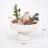 White pedestal bowl centerpiece with green sprigs and assorted pink and purple crystals