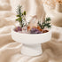 Close view of white bowl centerpiece with green sprigs and rose and amethyst-colored crystals