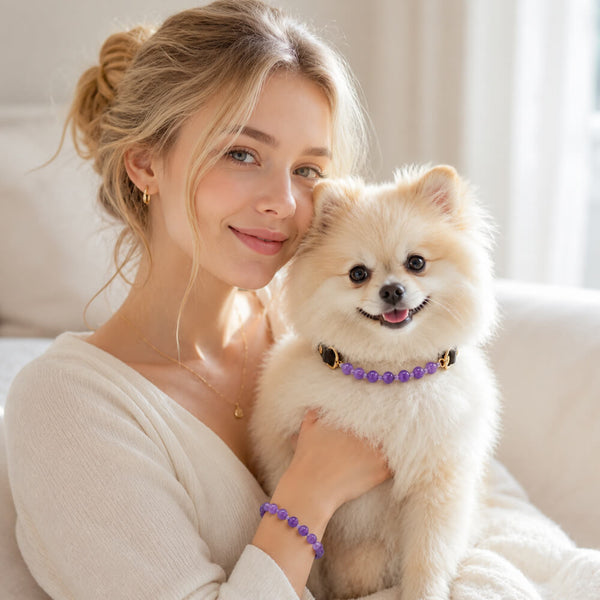 Purple crystal bead pet collar and matching bracelet set on a dog and model’s wrist
