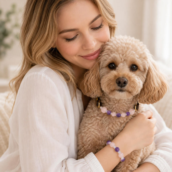 Dog wearing amethyst and rose quartz crystal bead collar with matching owner wrist bracelet