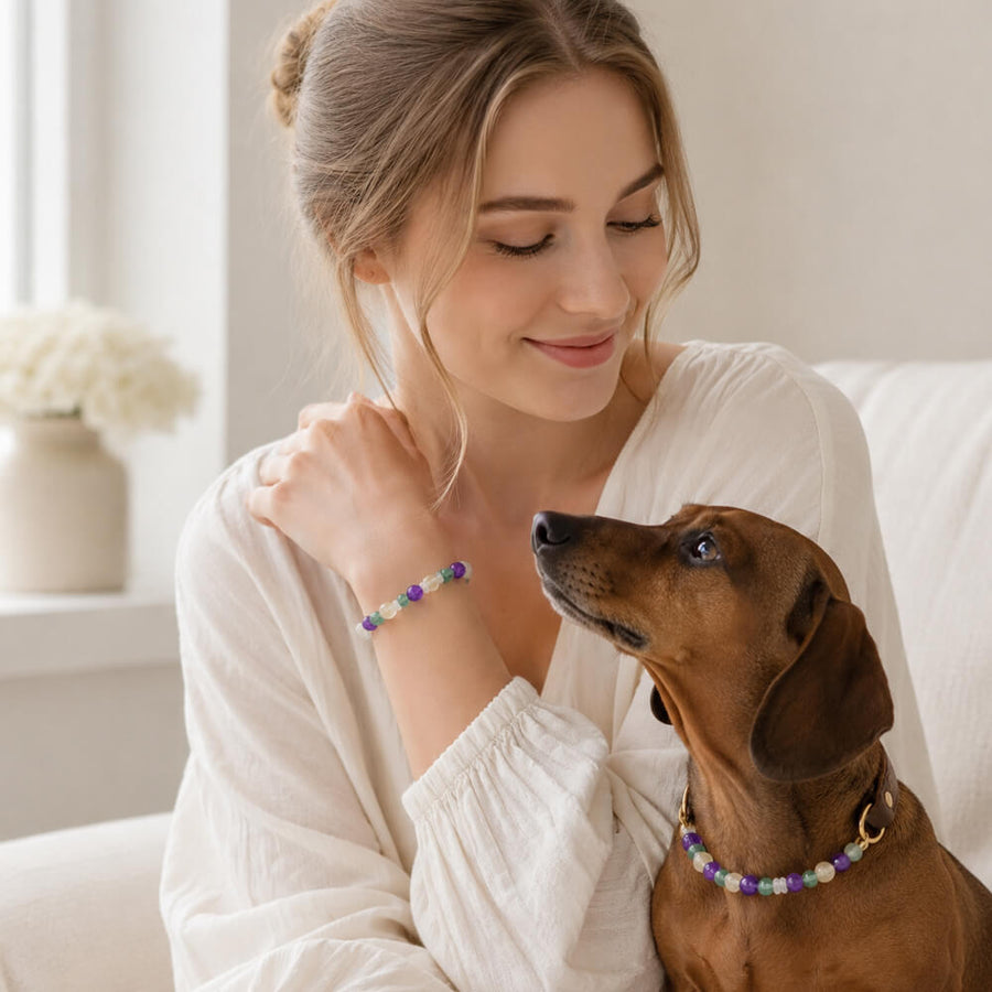 Multi-stone beaded pet collar on a brown dog, with matching bracelet on a woman