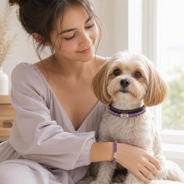 Purple beaded pet collar with clear crystal charm, plus purple bead bracelet on a person’s wrist