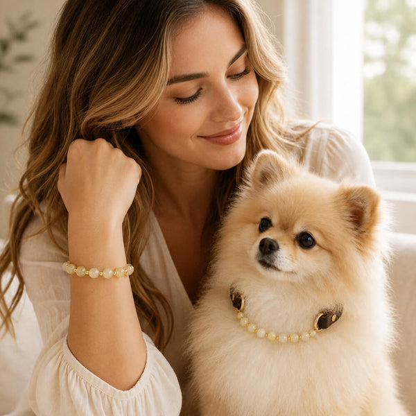 Dog wearing a yellow beaded pet collar with gold-tone accents and a clasp
